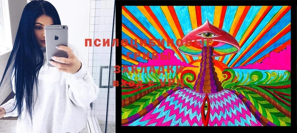 мдпв Дмитровск