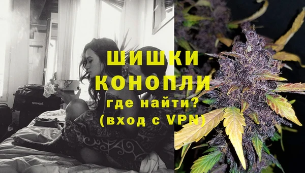 спиды Магас