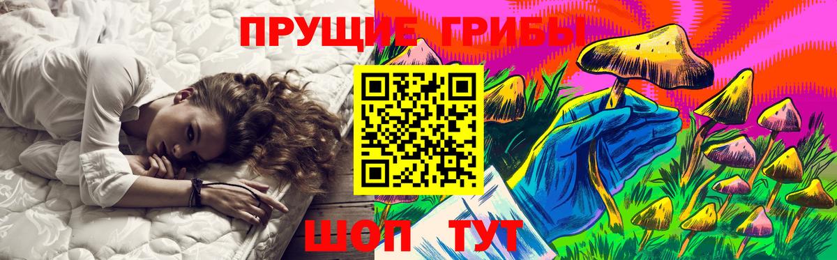 Слободской  Псилоцибиновые грибы Magic Shrooms  Вход с VPN 